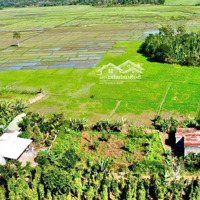 Sẵn 60M2 Thổ Cư Cách Bmt 20Km Eaktur, Cưkuin, Đakak 159 Triệu