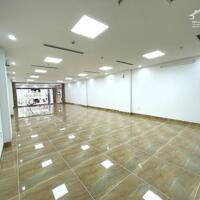 Bán Tòa Văn Phòng 9 Tầng Xây Mới MP Đoàn Thị Điểm, Quốc Tử Giám, DT 178m2, Giá 116 TỶ