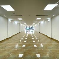 Bán Tòa Văn Phòng 9 Tầng Xây Mới MP Đoàn Thị Điểm, Quốc Tử Giám, DT 178m2, Giá 116 TỶ