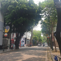 Tràng Thi - Hoàn Kiếm. Toà Văn Phòng Siêu Đẳng Cấp, Mặt Tiền Rộng, Bề Thế. Vị Trí Độc Tôn Cực Hiếm
