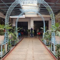 Hàng Hiếm Tại Lê Duẩn, 15,5 Tỷ, 230M2, Np 3 Phòng Ngủ+ 1 Vệ Sinh P. Trà Bá, Pleiku, Gia Lai