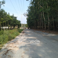 Bán Đất Nhà Xưởng (Skc) Tại Phú Giá
