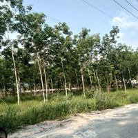 Bán Đất Nhà Xưởng (Skc) Tại Phú Giá