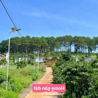 Mê Linh - Giáp Ranh Tp Đà Lạt - Giá Bán: 659 Triệu.
- Diện Tích 248M2 (5X50) Sẵn Thổ Cư