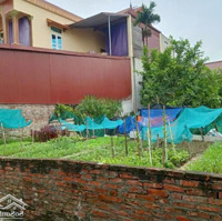 Chính Chủ Bán 171M2 Đất Tại Phụng Thượng, Phúc Thọ
