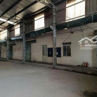 Cho Thuê Kho Đường Phan Trọng Tuệ, Thanh Trì 2000M2 Có Thể Tách Lẻ 1100M Và 900M2 (Có Văn Phòng)