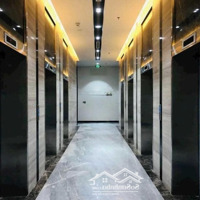 Bán Gấp Căn 1 Phòng Ngủ 1 Vệ Sinh Giá Cực Hời