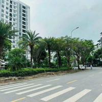 Rẻ Nhất Giang Biên,Lb.
Lô Đất Đẹp, Tđc Giang Biên-Lb.
 Diện Tích: 90M2,Mặt Tiền5.05M, Giá Hấp Dẫn View Shophouse
