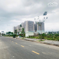 Bán Đất Đường Trần Văn Quế, Hòa Hiệp Nam, Liên Chiểu