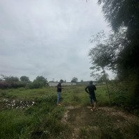 Chủ Cần Sang Nhượng 5 Ha Đất Gần Khu Dân Cư Giá Siêu Rẻ ,Ngợp Gấp