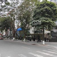 Cho Thuê Nhà Mặt Phố Liễu Giai, 200M X 3Tầng,Mặt Tiền13M, Thông Sàn, Vị Trí Đẹp, Nhận Diện Thương Hiệu