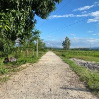 Bán Đất 341M2 Full Thổ. Giá Bán 950 Triệu Xã Cam Thành Nam, Tp Cam Ranh