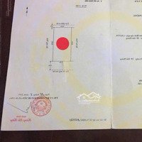 Siêu Phẩm Chapi Cái Tắt, An Đồng, An Dương. Nơi Nhà Giàu Sinh Sống. Diện Tích 200M2 Ngang 10M