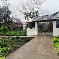 Chỉ 9Xx Triệu, Gần Ô Tô, Phân Lô, 60M Đường Ô Tô Tránh, Bán Đất Kim An. Hotline 0977690119 Mr. Sinh