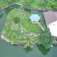 Bán Nhà Vườn 4000M2 Giá Tốt Nhất