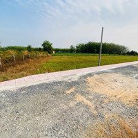 Bán Đất Thổ Cư Giá Rẻ - Gò Dầu, Tây Ninh