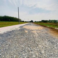 Bán Đất Thổ Cư Giá Rẻ - Gò Dầu, Tây Ninh
