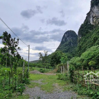 Cần Chuyển Nhượng 1000M2 100M2 Ont Giá Rẻ Tại Lương Sơn Hb