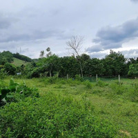Cần Chuyển Nhượng 1000M2 100M2 Ont Giá Rẻ Tại Lương Sơn Hb