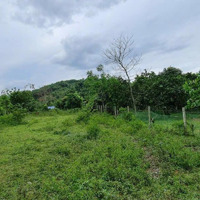 Cần Chuyển Nhượng 1000M2 100M2 Ont Giá Rẻ Tại Lương Sơn Hb