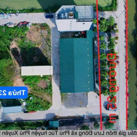 Chính Chủ Bán Đất Đấu Giá Khu Ải Mạ Thôn Lưu Đông Xã Phú Túc Phú Xuyên Hà Nội