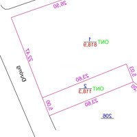 Trục Chính, Đông Tảo, Khoái Châu