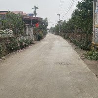 Trục Chính, Đông Tảo, Khoái Châu