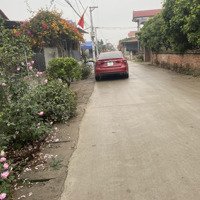 Trục Chính, Đông Tảo, Khoái Châu