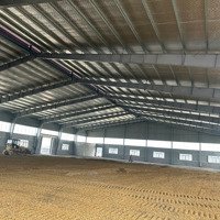 Cho Thuê Nhà Kho Và Xưởng Độc Lậpdiện Tích100.000M2 Tại Ccn Chính Nghĩa, Ân Thi, Hưng Yên