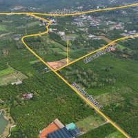 Bán Đất 403M2 Tại Võ Trường Toản, Lộc Nga, Bảo Lộc, Lâm Đồng, Giá Bán 2,34 Tỷ