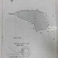 Bán Đất Nn 17350M2 Có 190M Mặt Đường Siêu Đẹp Tại Đức Trọng - Cơ Hội Vàng Cho Nhà Đầu Tư Trang Trại