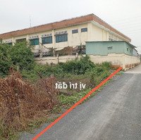Cần Bán 719M2 Đất Thổ Cư Cách Đường Rừng Sác Cần Giờ 50M, Đường Xe Tải, 16 Triệu/M2