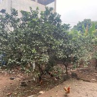Bán Đất Tại Xã Đặng Xá, Gia Lâm, Hà Nội, 54 Triệu/M2, 52 M2