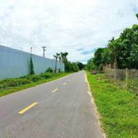 Đất Mặt Tiền Tỉnh Lộ 2 Diên Thọ Diên Khánh Giá Đầu Tư