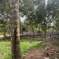 Bán đất 120m2 tại Dương Tơ, Phú Quốc - Vị trí đẹp, tiềm năng sinh lời