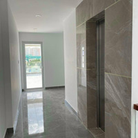 Duy Nhất! Nhàhẽm Xe Hơicách Mạng Tháng 8, Tân Bình,Diện Tíchcông Nhận 190M2