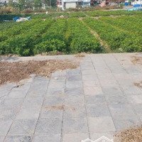 Bán Đất Tại Xã Liên Hà, Đông Anh, Hà Nội, 6,986 Tỷ, 92M2