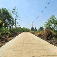 Bán Gấp Đất Tại Thị Trấn Lộc Ninh, Lộc Ninh, Bình Phước, 200 Triệu, 250 M2