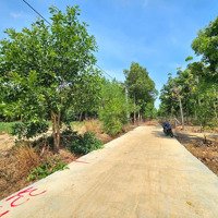 Bán Gấp Đất Tại Thị Trấn Lộc Ninh, Lộc Ninh, Bình Phước, 200 Triệu, 250 M2