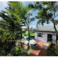 Bán Homestay Sân Vườn 350M2 Măng Lin Phường 7 Đà Lạt 11,5Tỷ