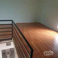 Bán Dãy Trọ 5 Phòng, 146M2 Thị Trấn Long Điền, Đường Hẻm Lớn Ô Tô