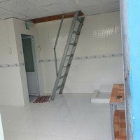 Bán Dãy Trọ 5 Phòng, 146M2 Thị Trấn Long Điền, Đường Hẻm Lớn Ô Tô