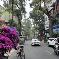 Bán Nhà Mặt Phố Hoàng Hoa Thám Ba Đình 265m2T MT KHỦNG 2 THOÁNG 88 Tỷ Hoàng Hoa Thám.
