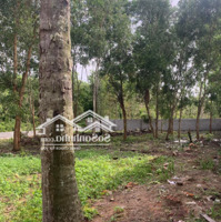 Bán Đất 120M2 Tại Dương Tơ, Phú Quốc - Vị Trí Đẹp, Tiềm Năng Sinh Lời