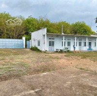 Cho Thuêdiện Tíchđất 4670M2 Có Nhà Xưởng 1600M2. Trạm Điện 560Kva. Ca Bàng Châu Đức, Bà Rịa Vũng Tàu