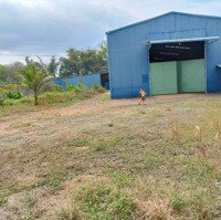 Cho Thuêdiện Tíchđất 4670M2 Có Nhà Xưởng 1600M2. Trạm Điện 560Kva. Ca Bàng Châu Đức, Bà Rịa Vũng Tàu