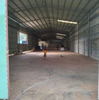 Cho Thuêdiện Tíchđất 4670M2 Có Nhà Xưởng 1600M2. Trạm Điện 560Kva. Ca Bàng Châu Đức, Bà Rịa Vũng Tàu