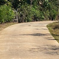 Bán Lô Đất 1209M2 Đất Có Sẵn 100M2 Thổ Cư Và 20M Mặt Tiền Đường Bê Tong Chỉ Với Giá Bán 870 Triệu