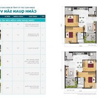 Cần Bán Căn Hộ Sân Vườn Dự Án Daqua Bến Bình Đông Quận 8 Bằng Giá Hợp Đồng