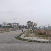 Bán Gấp Đất Khu Đô Thị Mới Kim Sơn, Đông Triều, Quảng Ninh. 52 Triệu/M2, 310 M2. Vị Trí Vàng